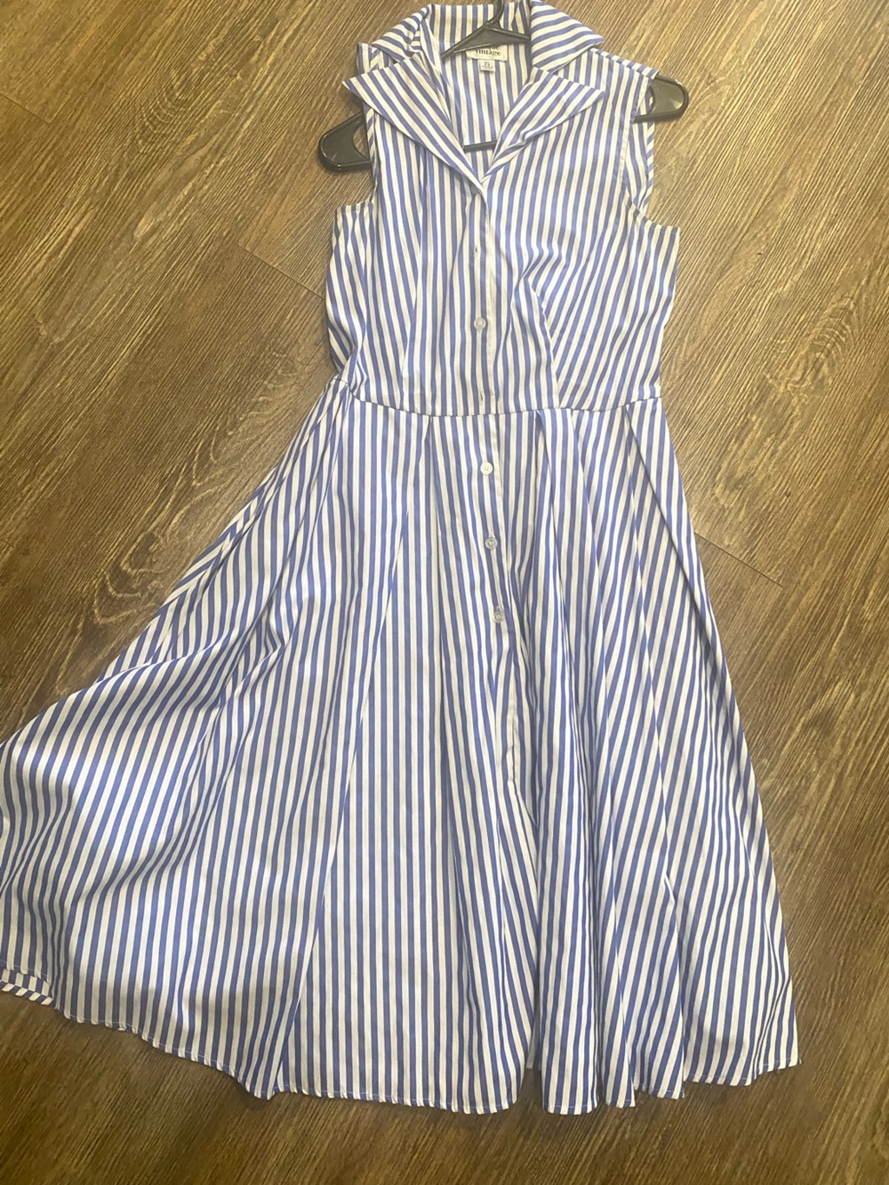 Unique Vintage Blue and White Striped Sleeveless Button-Down Dress